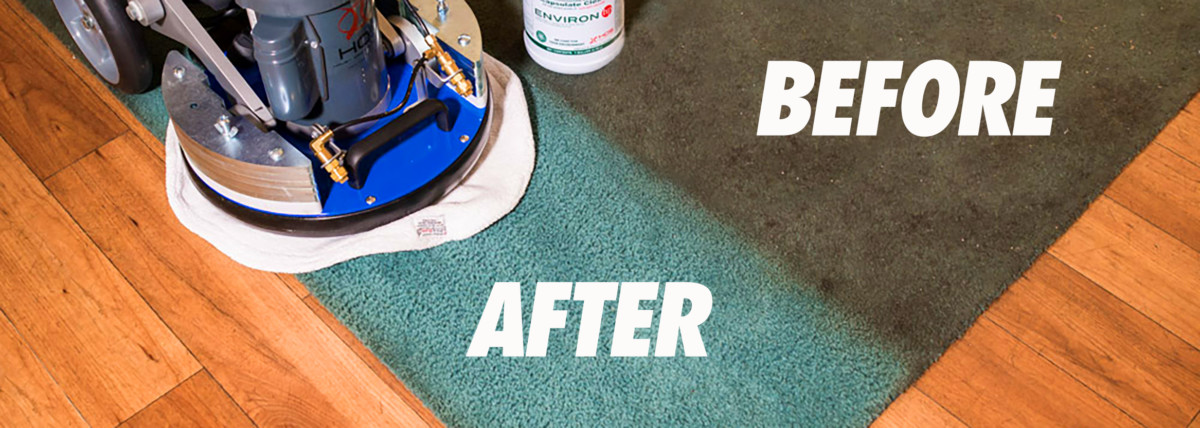 Carpet Cleaning